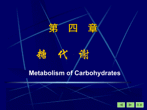 沈阳药科大学生物化学课件-第4章 糖代谢.ppt