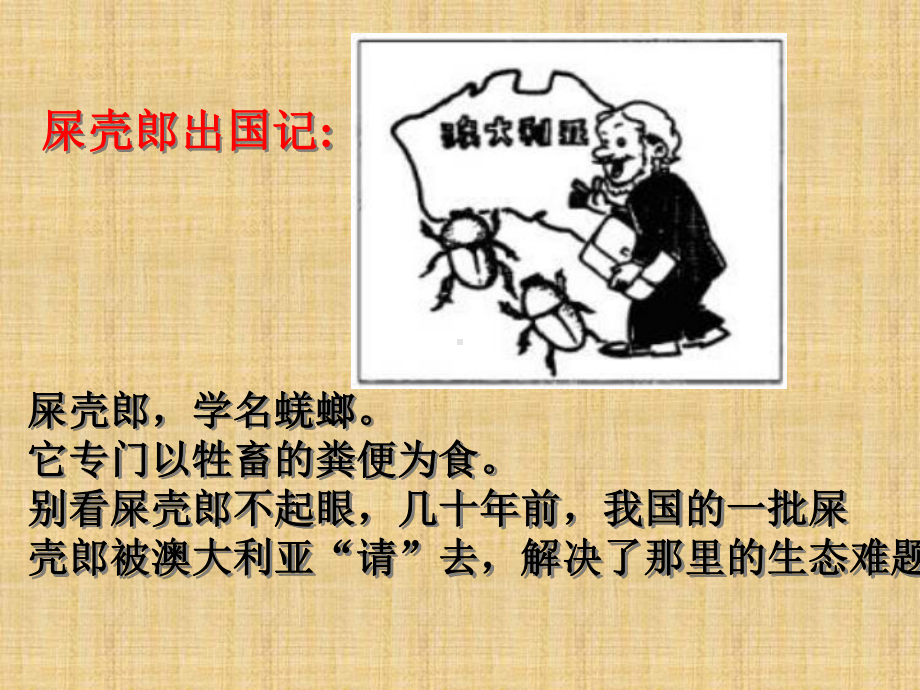 生物对环境的影响课件.ppt_第3页