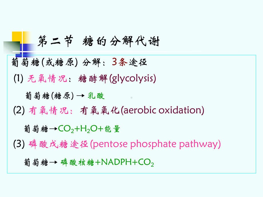 复旦大学生物化学课件第八章 糖代谢 II.ppt_第1页