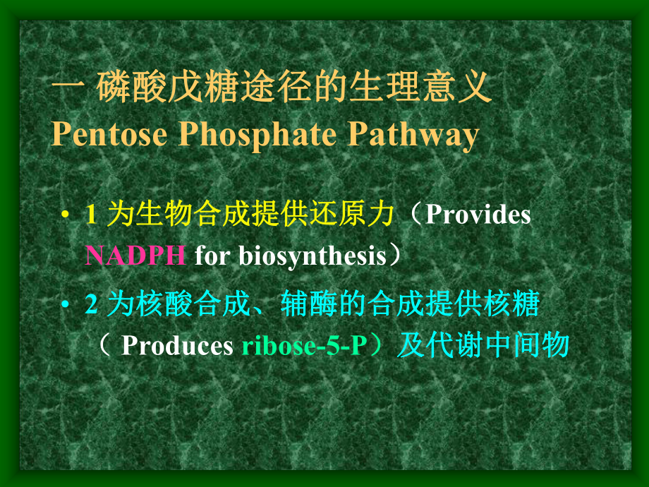 生物化学糖代谢3课件.ppt_第3页