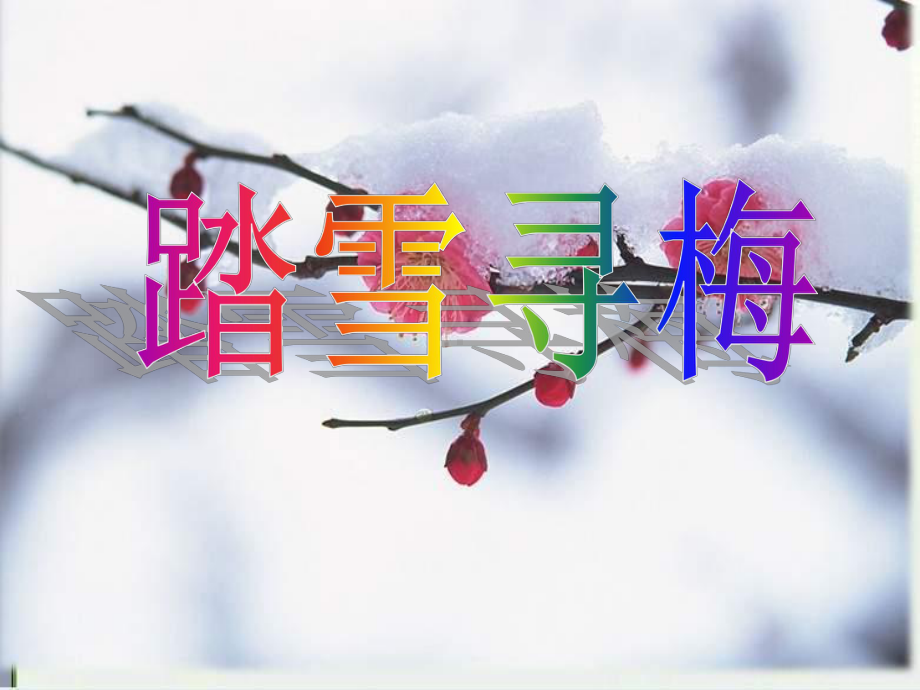 踏雪寻梅-PPT精品教学课件.ppt_第1页