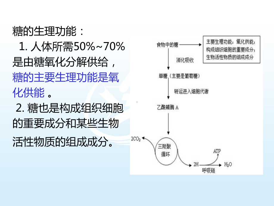 第5章 糖代谢生物化学概论课件.ppt_第3页