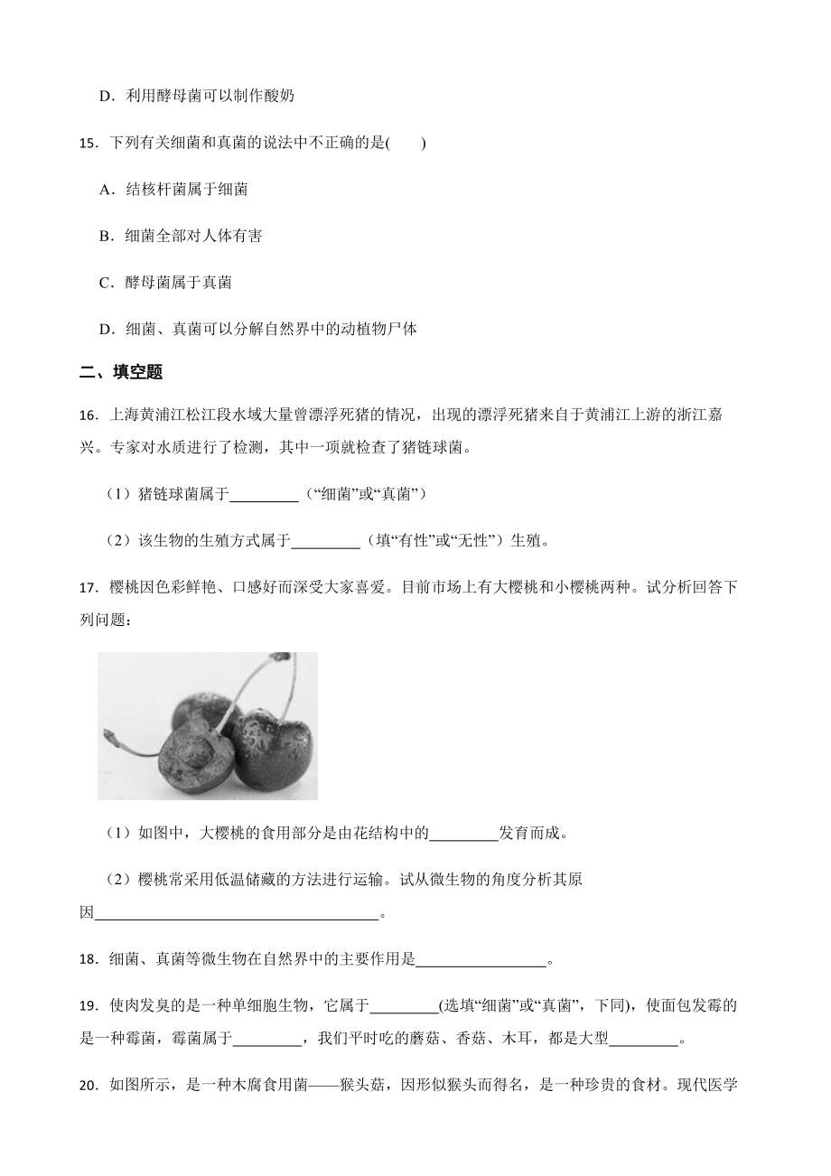 科学七下期末复习阶梯训练：微生物（基础巩固）.pdf_第3页