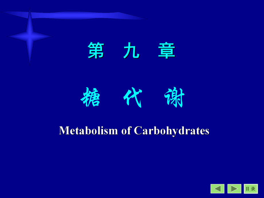 《生物化学教学课件》糖代谢-2.ppt_第1页