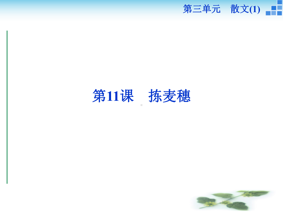 高一语文粤教必修1-3.11-拣麦穗-课件(41张).ppt_第1页