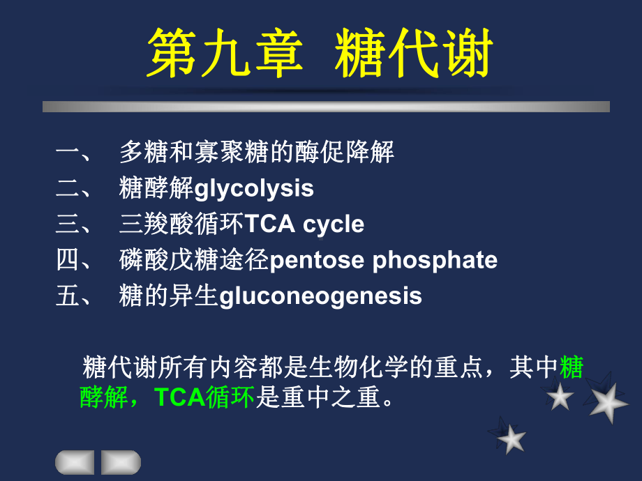 生物化学课件第九章 糖代谢.ppt_第1页