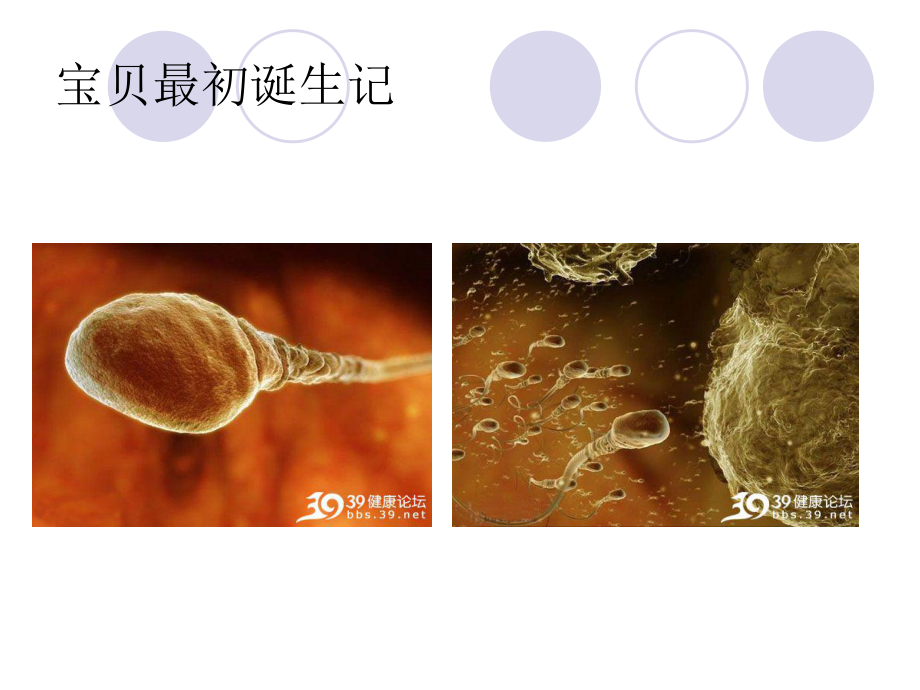 不同人群的营养(怡康)-PPT课件.ppt_第3页