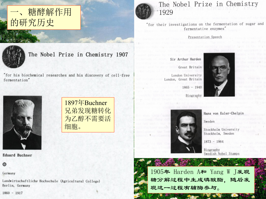 王镜岩-生物化学-经典课件-9糖代谢1-考研必备-学生物化学必备.ppt_第2页