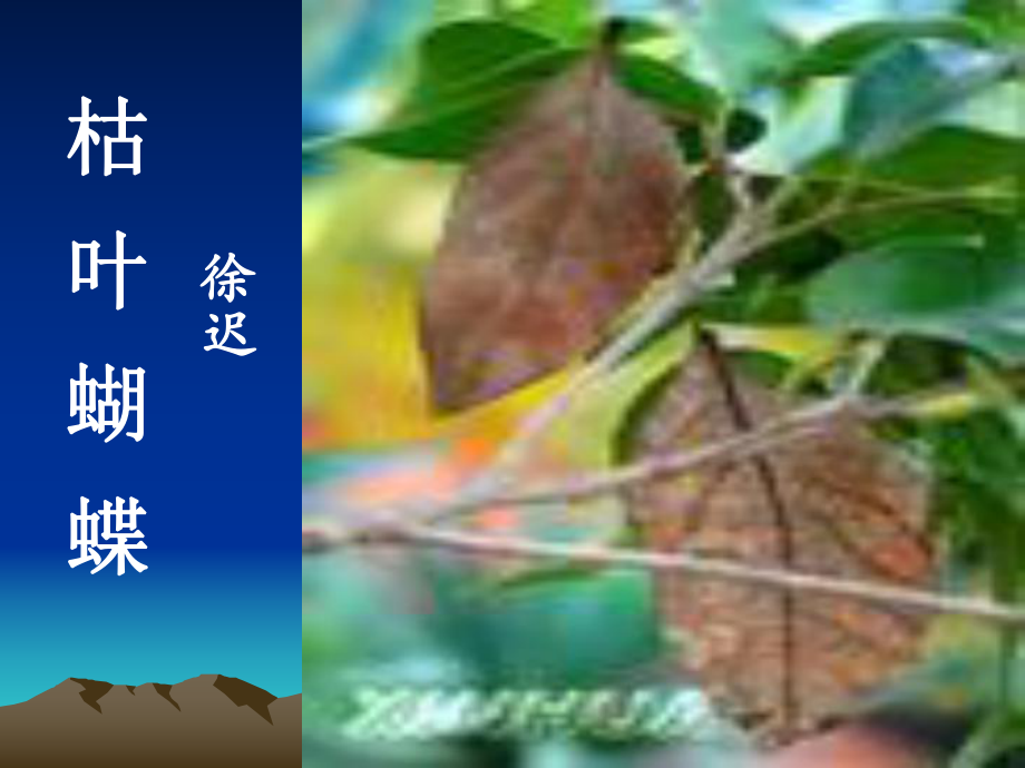 枯叶蝴蝶PPT课件7-鲁教版-(共26张PPT).ppt_第2页