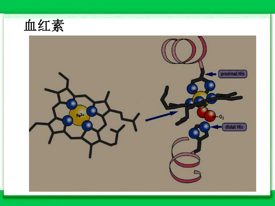 配合物第1课时PPT课件.ppt_第3页