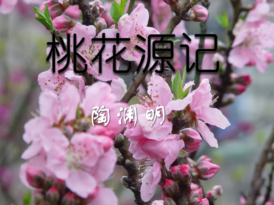 桃花源记-PPT精品教学课件8.ppt_第1页