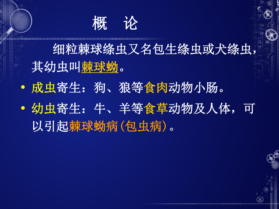 细粒棘球绦虫-PPT课件.ppt_第2页