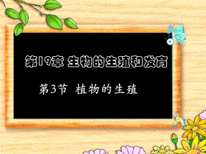 [中学联盟]广东省梅州市梅江区实验中学八年级生物上册北师大版课件：19.3 其他生物的生殖 (共31张PPT).ppt