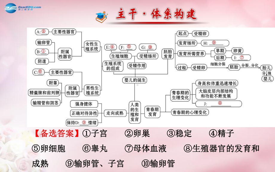 （金榜学案）2014八年级生物上册 第四单元 第三章 人类的生殖和发育复习课件 济南版.ppt_第2页