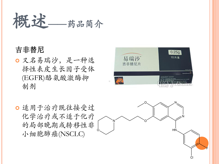 抗癌药物：吉非替尼(1)-PPT课件.pptx_第3页