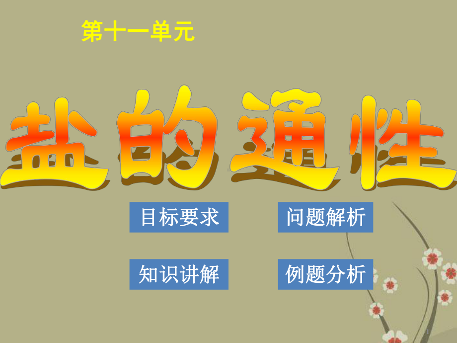 广东省花城中学九年级化学下册-第十一单元-课题1-生活中常见的盐(第三课时)课件.ppt_第1页