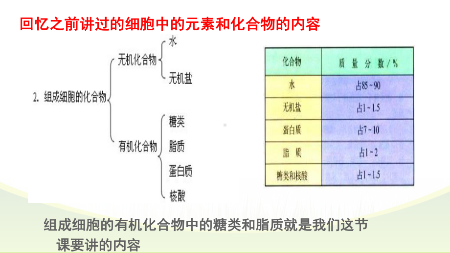 细胞中的糖类（新教材）人教版高中生物必修一PPT课件.pptx_第3页