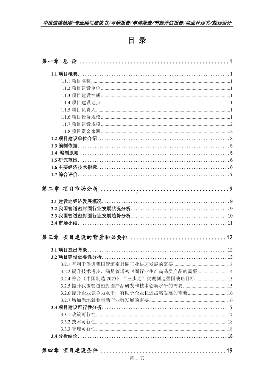 管道密封圈建设项目可行性研究报告建议书.doc_第2页