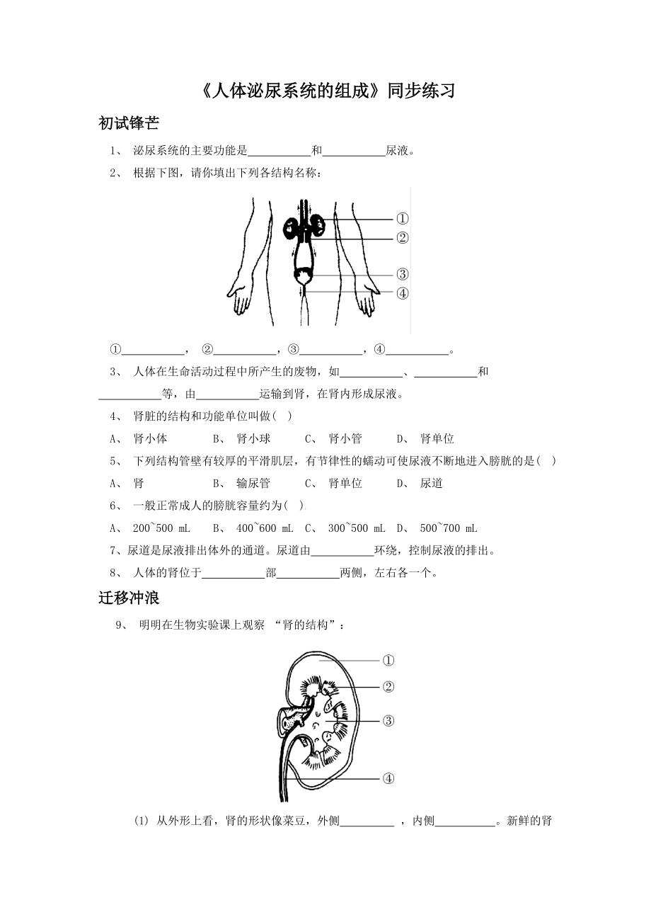 第11章《人体泌尿系统的组成》同步练习2.doc_第1页