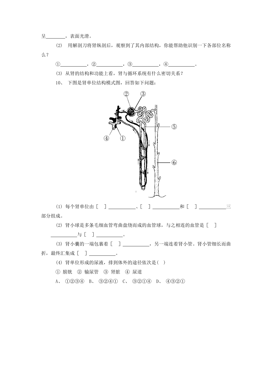 第11章《人体泌尿系统的组成》同步练习2.doc_第2页