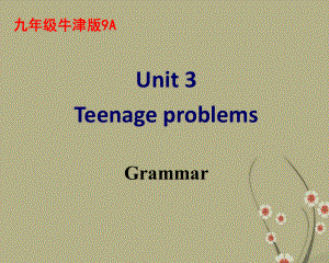 江苏省南京市六合区马鞍镇初级中学九年级英语上册-Unit-3-Teenage-problems-Grammar课件-人教新目标版.ppt（无音频视频）