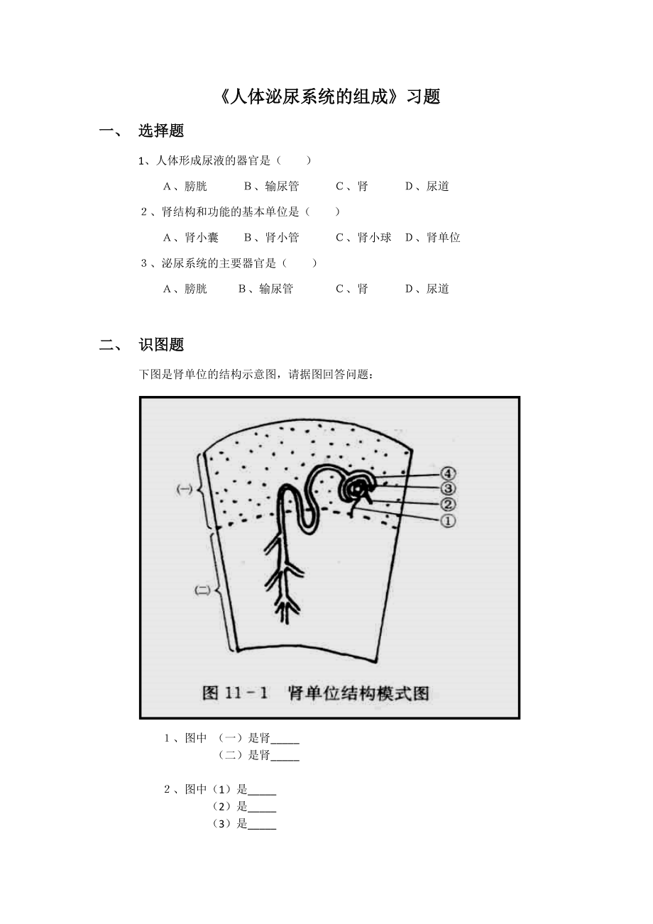 第11章《人体泌尿系统的组成》习题1.docx_第1页