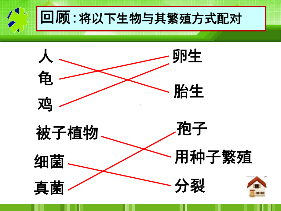 植物的生殖-生物的生殖和发育PPT精品教学课件4.ppt_第3页