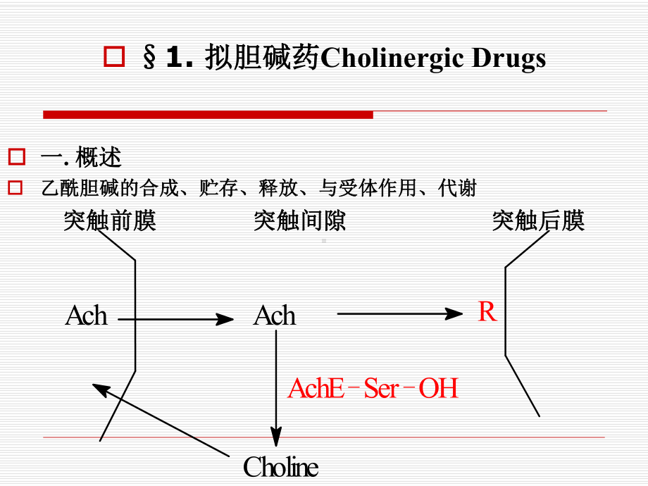 第七章 拟胆碱药和抗胆碱药 ppt课件.ppt_第2页