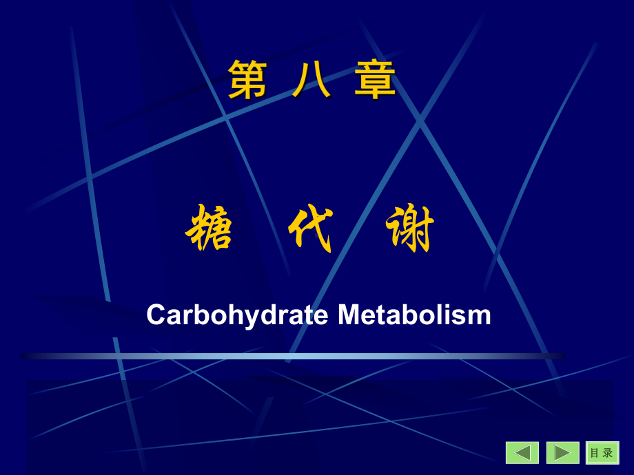 生物化学课件糖代谢A.ppt_第1页