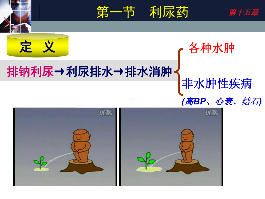 24利尿药和脱水药-PPT课件.ppt_第2页