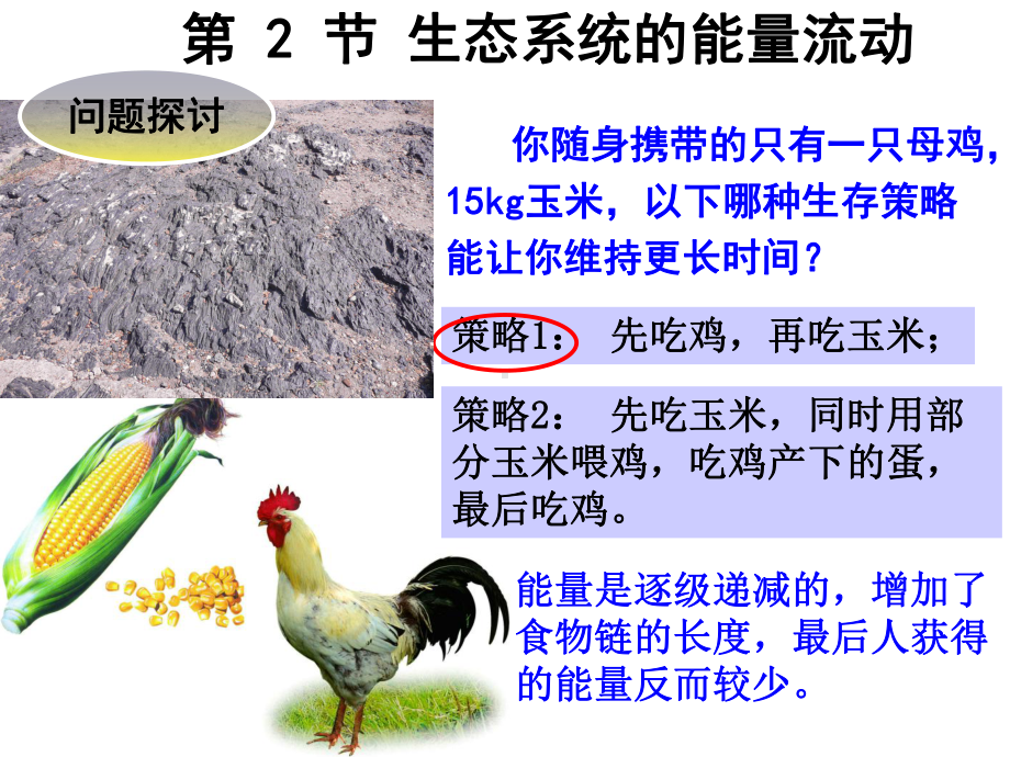 高中生物5.2生态系统的能量流动名师公开课市级获奖课件.ppt_第2页