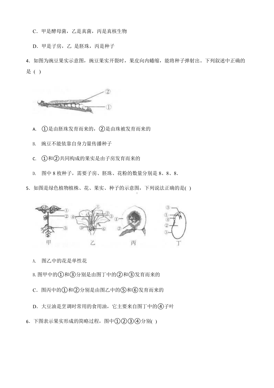 2022年浙教版科学七下期末复习阶梯训练：植物（提高训练）含答案.pptx_第2页