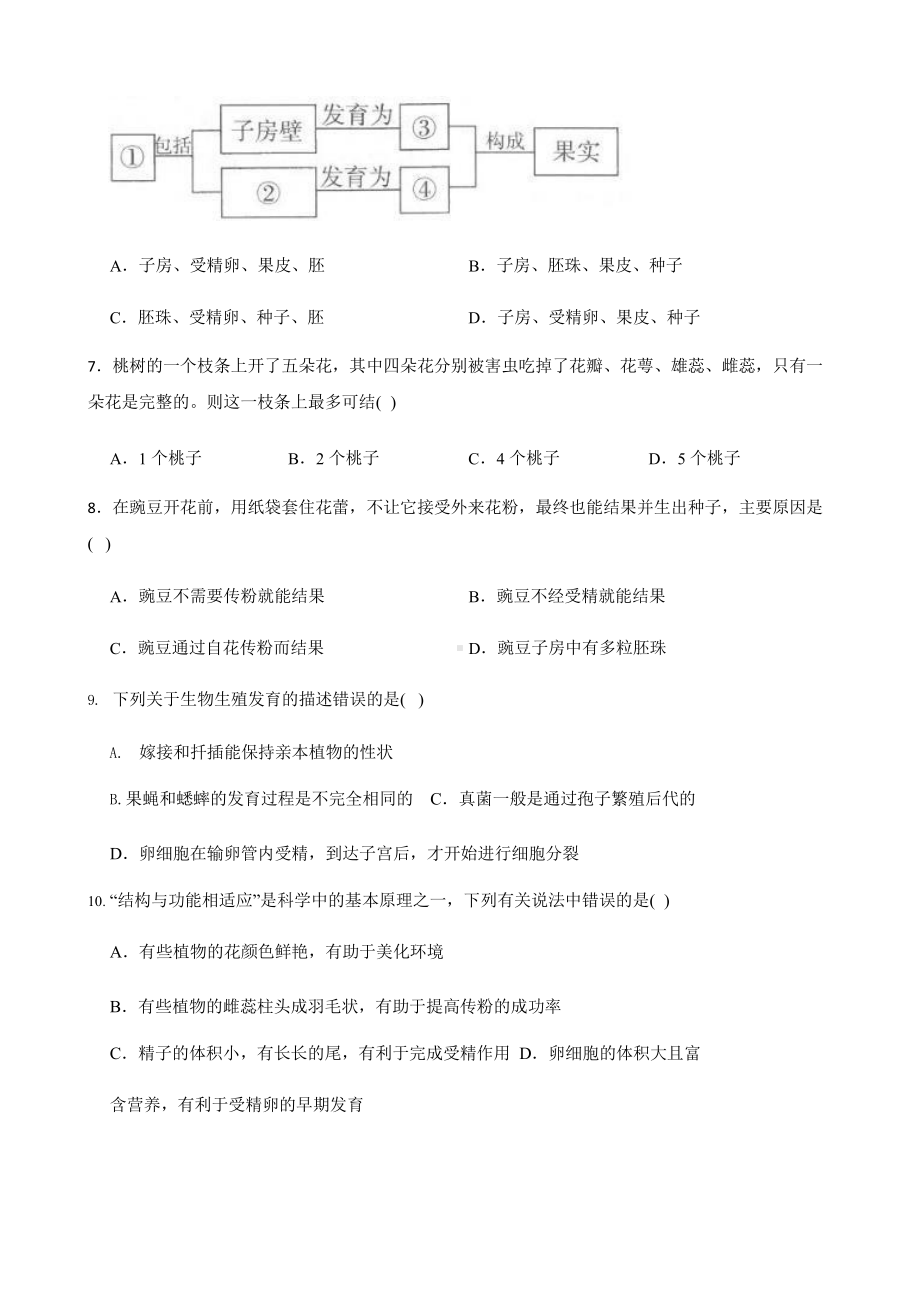 2022年浙教版科学七下期末复习阶梯训练：植物（提高训练）含答案.pptx_第3页