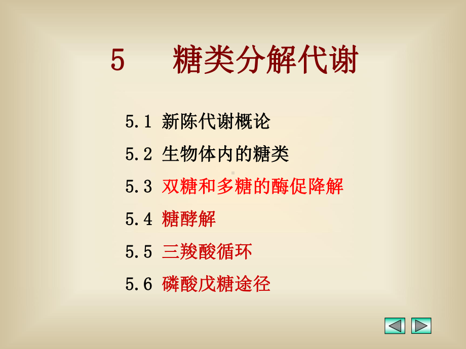 大学生物化学课程教学课件五、6-代谢引论和糖代谢-2.ppt_第1页