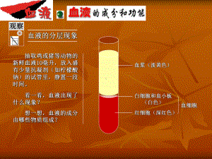 第10章《第二节 人体的血液循环》课件4.ppt