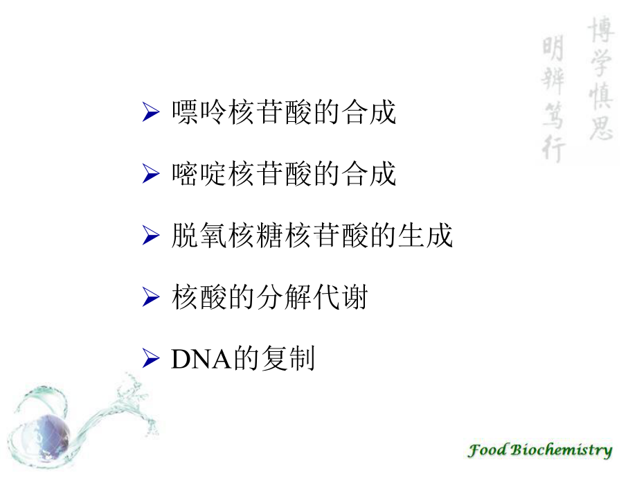 核酸代谢 课件.ppt_第2页