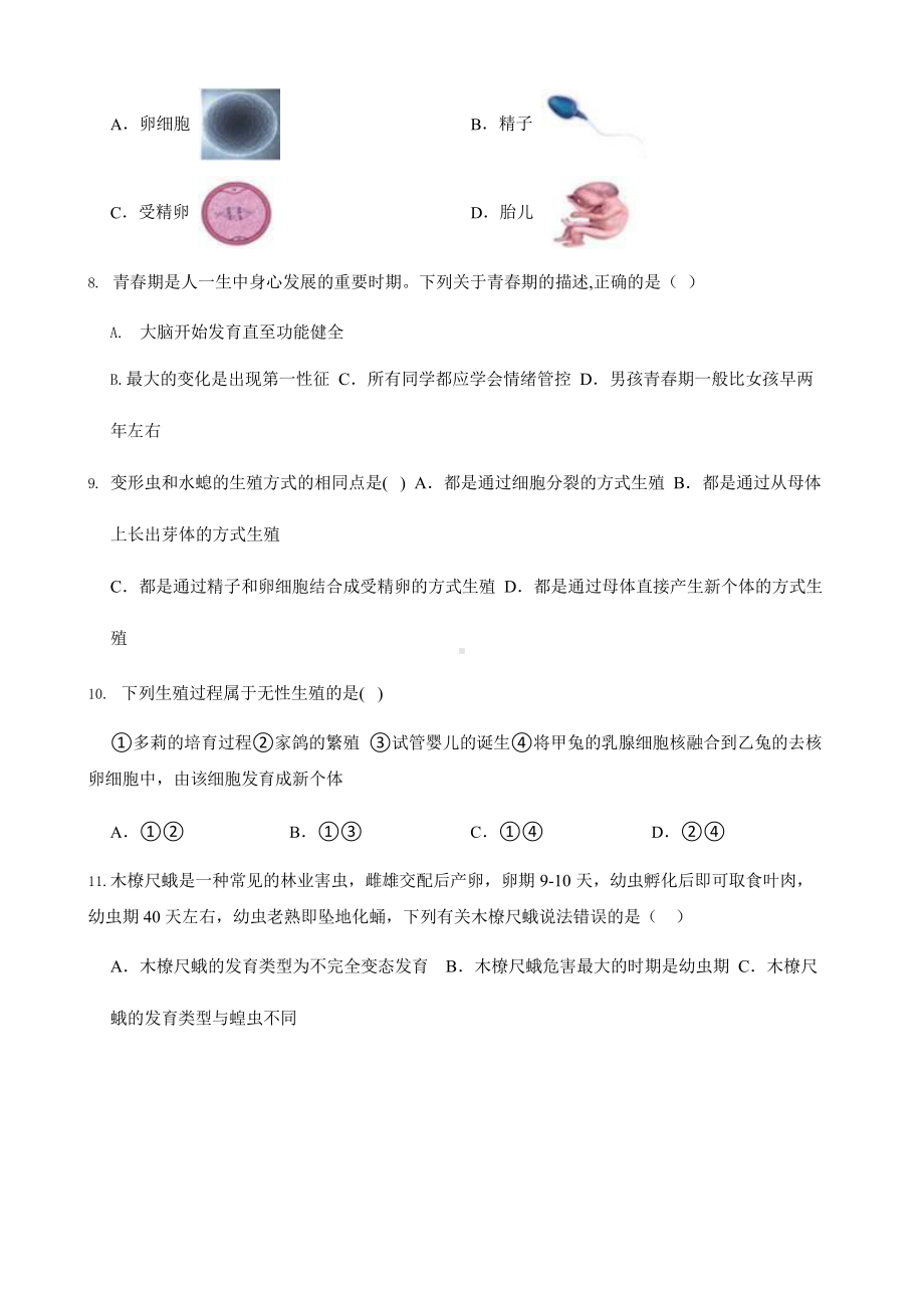 2022年浙教版科学七下期末复习阶梯训练：人与动物（基础巩固）含答案.pptx_第2页