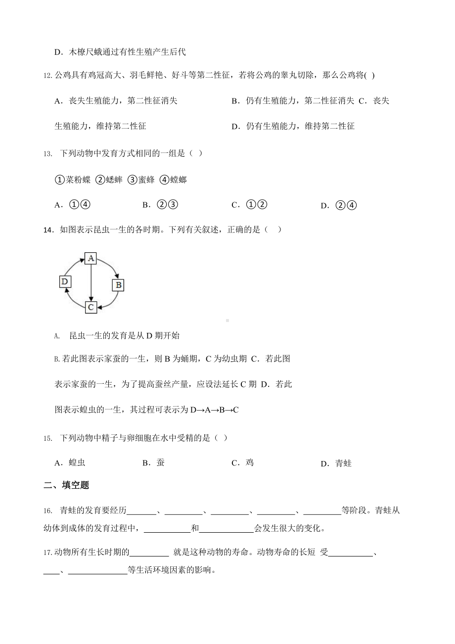 2022年浙教版科学七下期末复习阶梯训练：人与动物（基础巩固）含答案.pptx_第3页