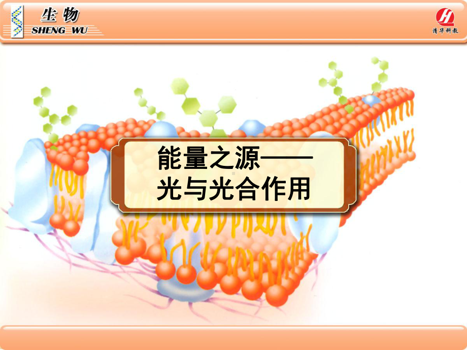 生物学（1）必修《能量之源-光与光合作用》PPT课件.ppt_第1页