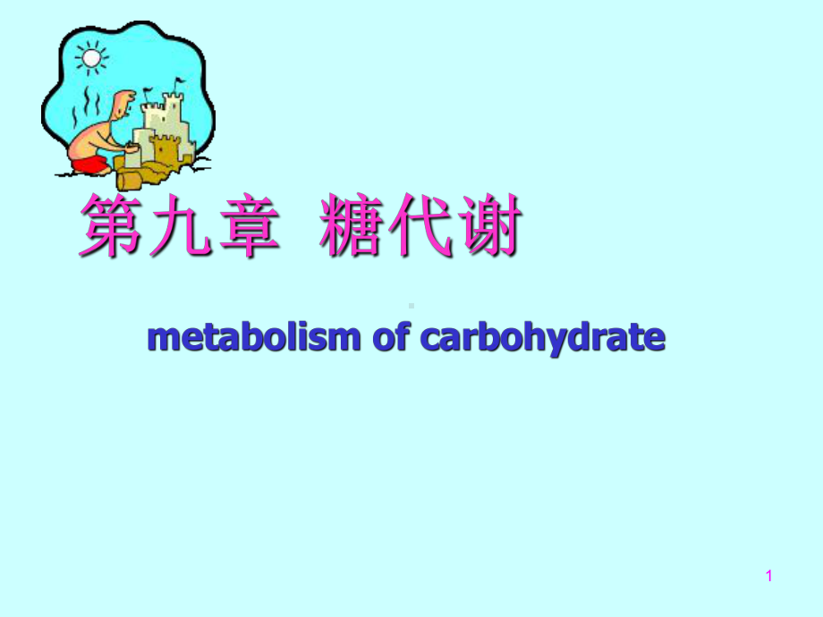 第九章 糖代谢讲课 西南大学 生物化学课件).ppt_第1页