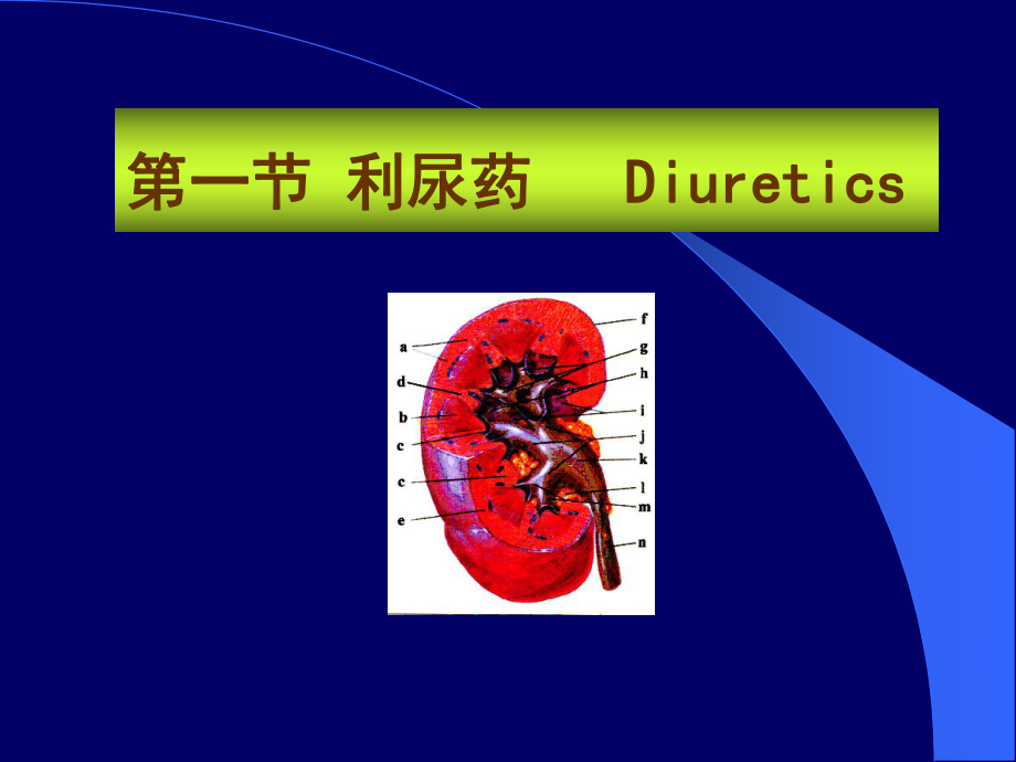 xin利尿药 ppt课件.ppt_第2页