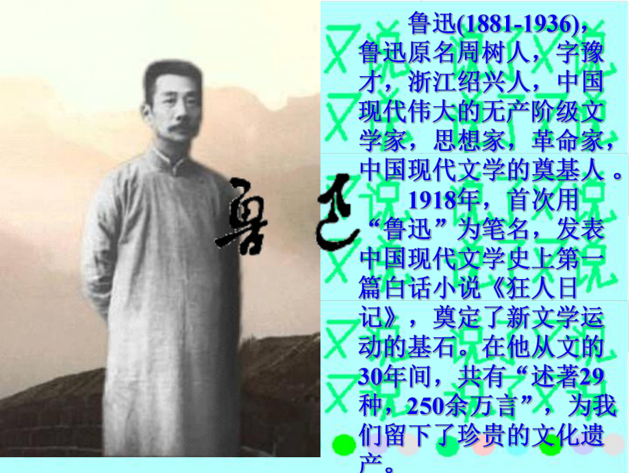 阿长与山海经PPT课件124(微课件)-北师大版-(共25张PPT).ppt_第2页