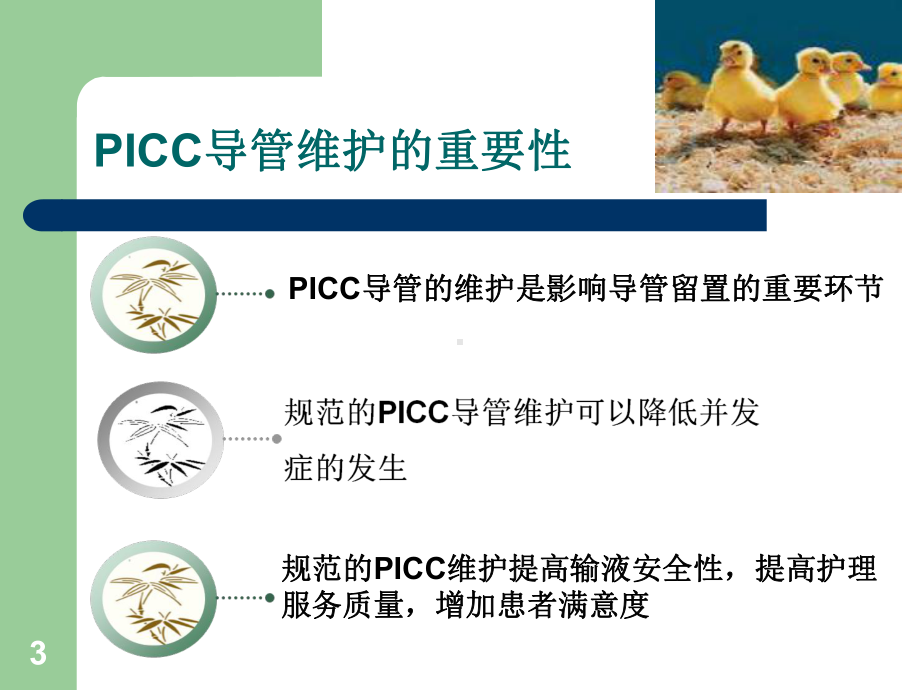 PICC维护课件.ppt.ppt_第3页