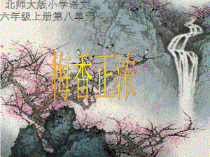 北师大版第十一册《梅香正浓》PPT课件（最新）.ppt