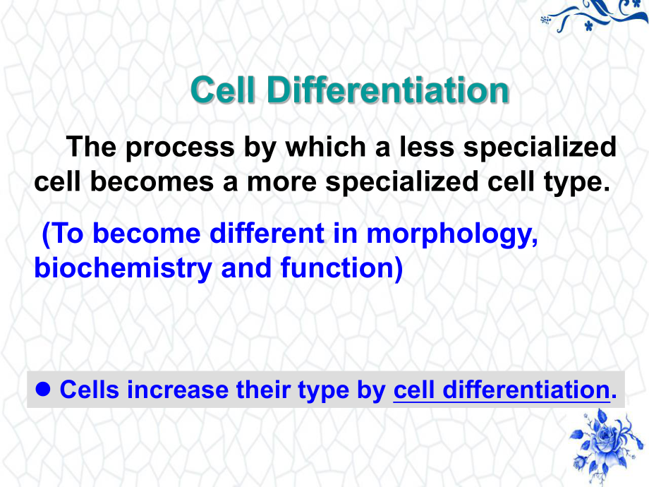 高等教学大一下生物PPT课件：cell-differentiation-and-death.ppt_第3页