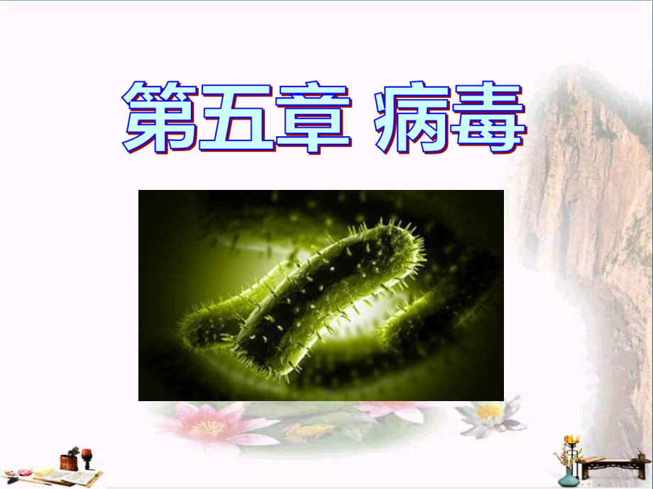 病毒-PPT精品课件.ppt_第1页