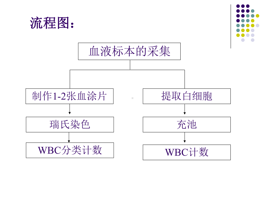 final实验二、血涂片制备 WBC分类计数PPT课件.ppt_第3页