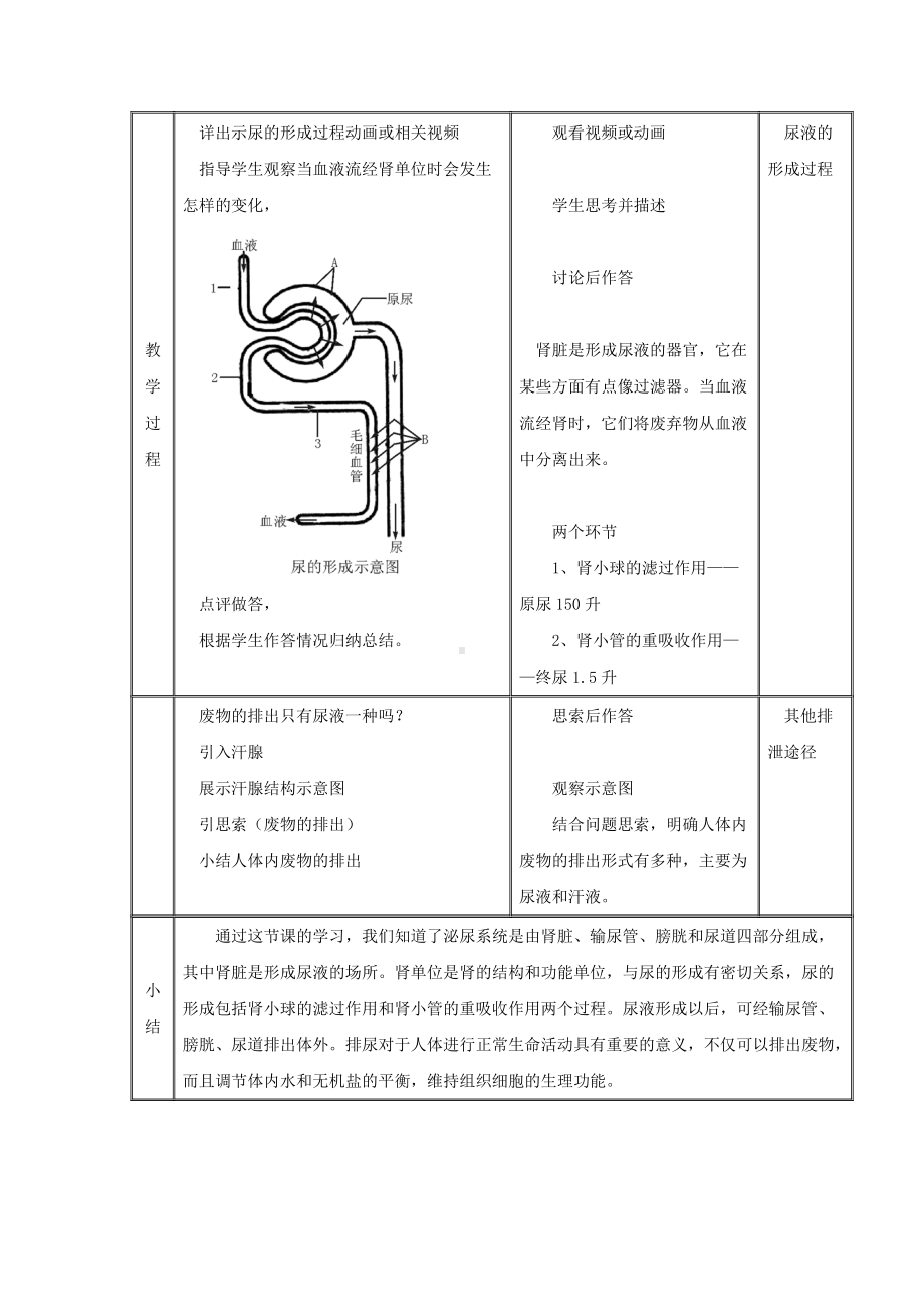 第11章《人体废物的排出》教案2.doc_第3页