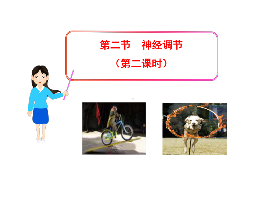 第12章《人体的神经调节》课件5.ppt_第1页