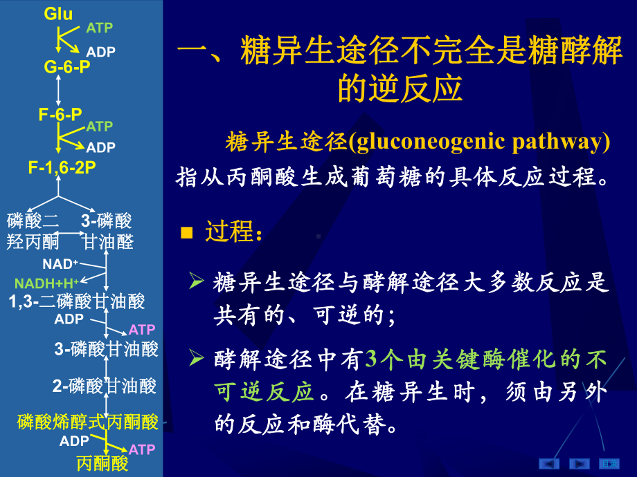 生物化学与分子生物学学习课件：第06章糖代谢-4.ppt_第3页